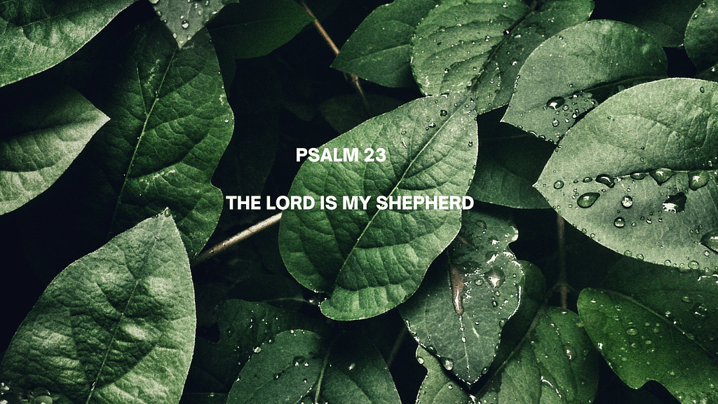 Shepherd